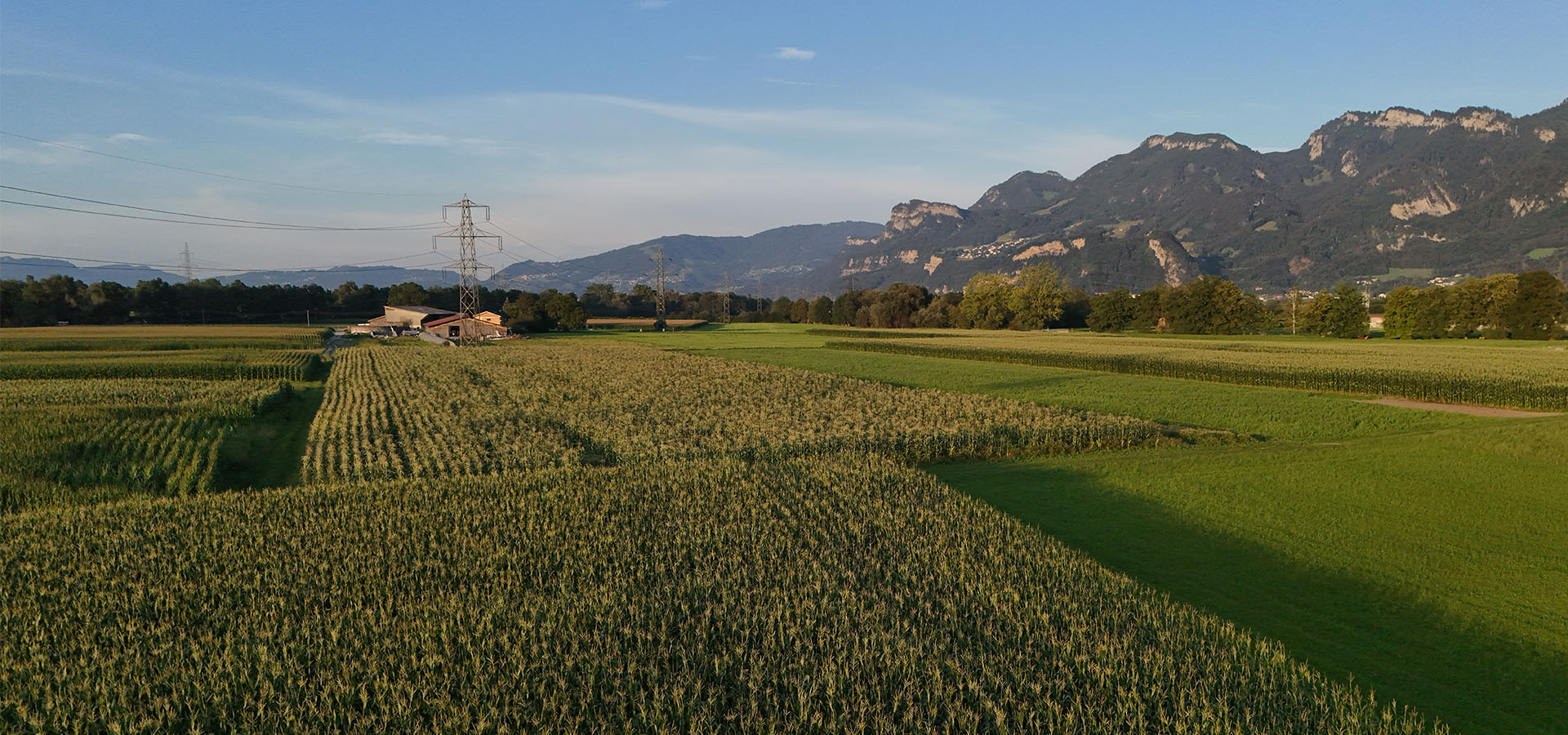 Eine weite Landschaft mit Feldern, in denen Getreide wächst. Im Hintergrund sind Berge und ein blauer Himmel zu sehen. Ein kleines Gebäude und Strommasten sind ebenfalls sichtbar, die der ländlichen Umgebung eine strukturierte Note verleihen.